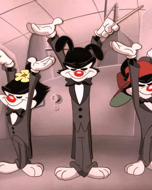 Animaniacs In Concert Costa Mesa