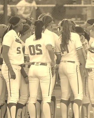 Arizona Wildcats Softball Costa Mesa