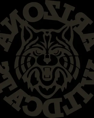 Arizona Wildcats Tucson