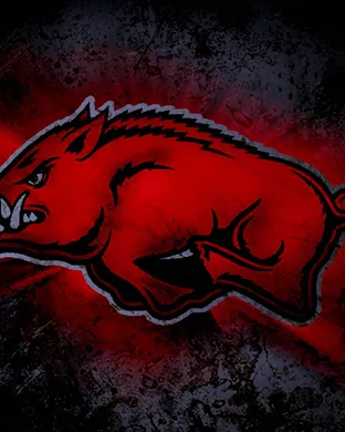 Arkansas Razorbacks Costa Mesa