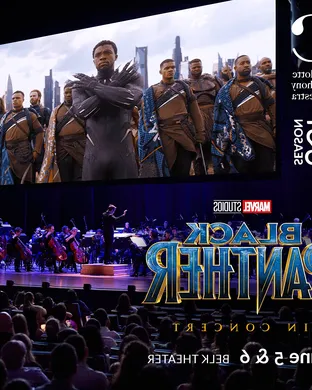 Black Panther in Concert