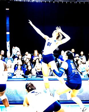 Byu Cougars Volleyball Costa Mesa