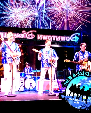 Catch a Wave - The Beach Boys Show Costa Mesa
