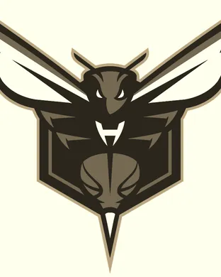 Charlotte Hornets Costa Mesa