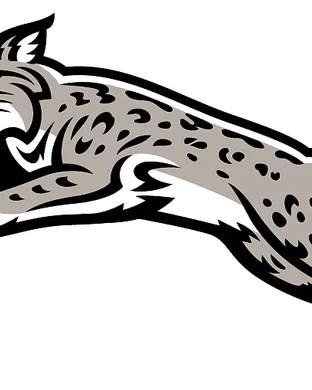 Davidson Wildcats Costa Mesa