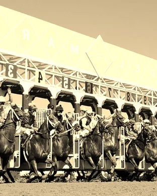 Del Mar Thoroughbred Racing Del Mar