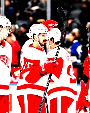Detroit Red Wings vs. Anaheim Ducks