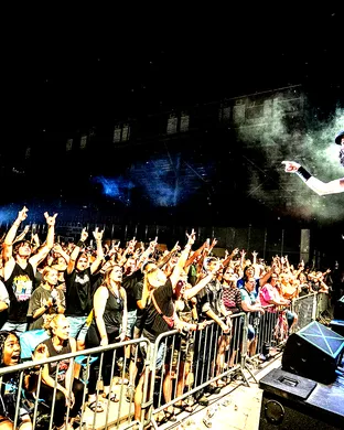 Hairball Cerritos
