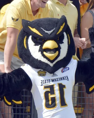 Kennesaw State Owls Kennesaw