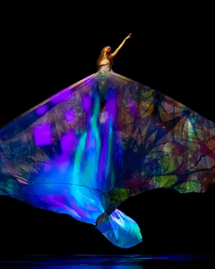 Momix Costa Mesa
