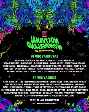Nocturnal Wonderland - 2 Day Pass