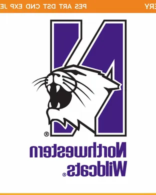 Northwestern Wildcats Evanston