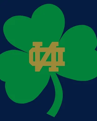 Notre Dame Fighting Irish Costa Mesa