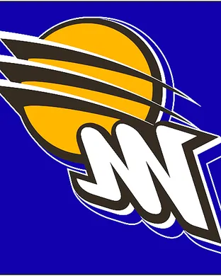 Phoenix Mercury Los Angeles