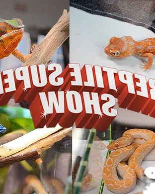 Reptile Super Show Anaheim