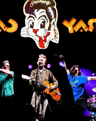 Stray Cats Highland