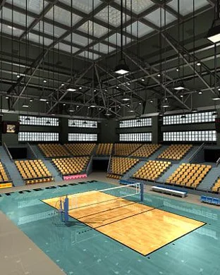 Illinois Fighting Illini Women's Volleyball Champaign